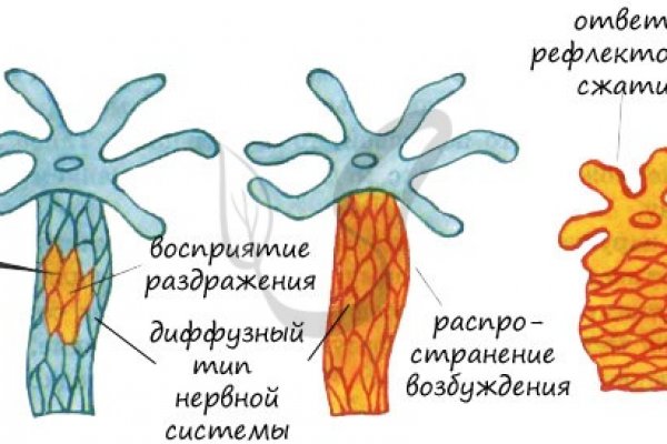 Ссылки для даркнета