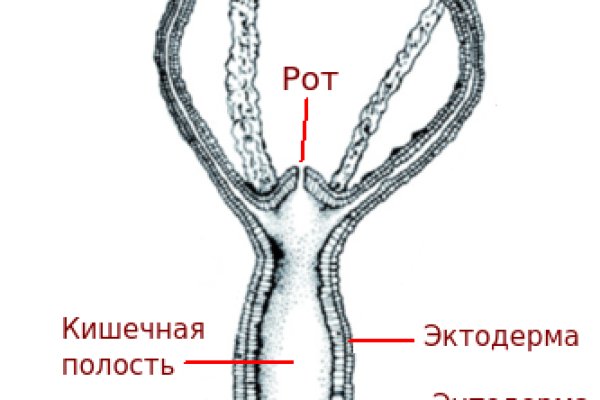 Kraken ссылка для тору