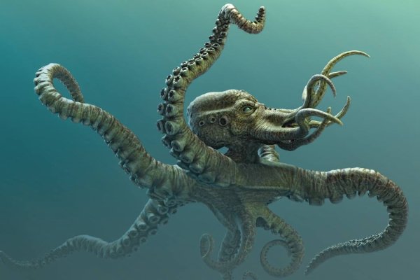 Kraken магазин