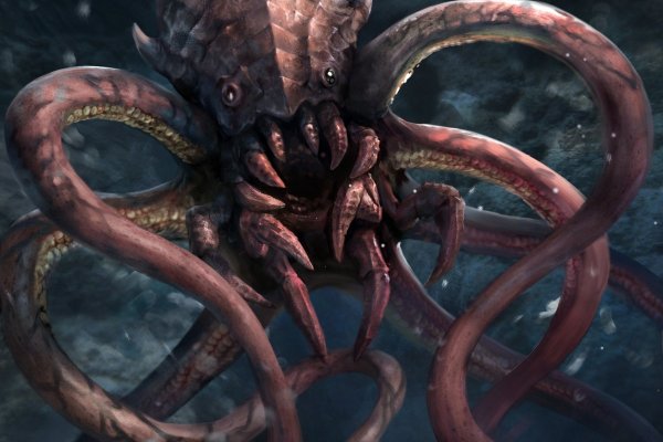 Kraken 20at