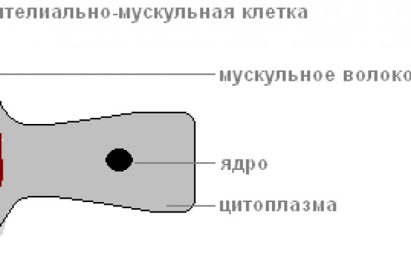 Kraken рабочее зеркало