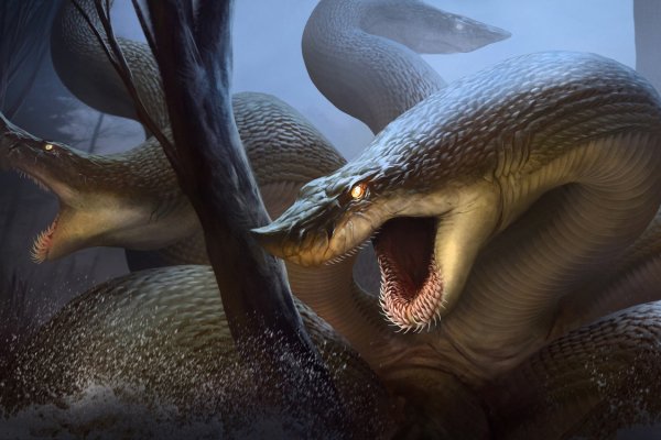 Kraken 24 at
