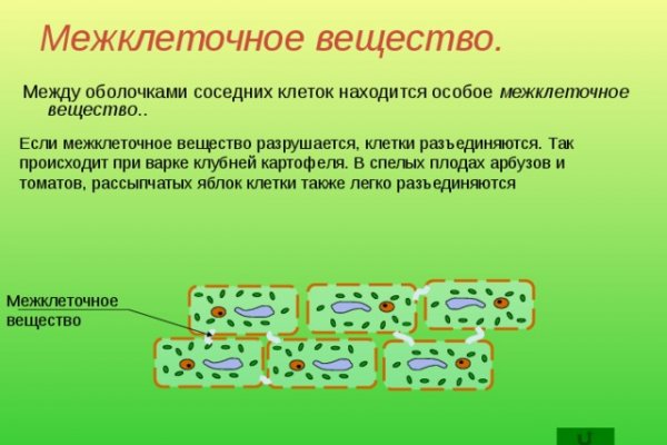 Ссылки даркнета