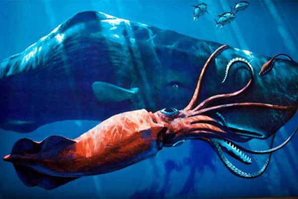 Kraken сайт вход