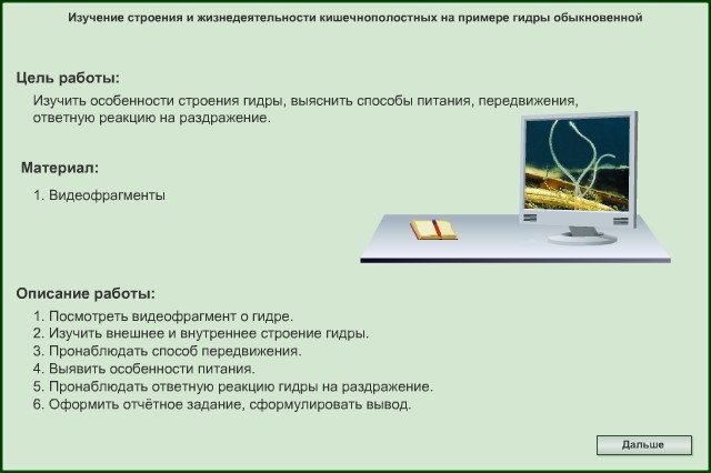 Кракен тор krakendark krakendark link