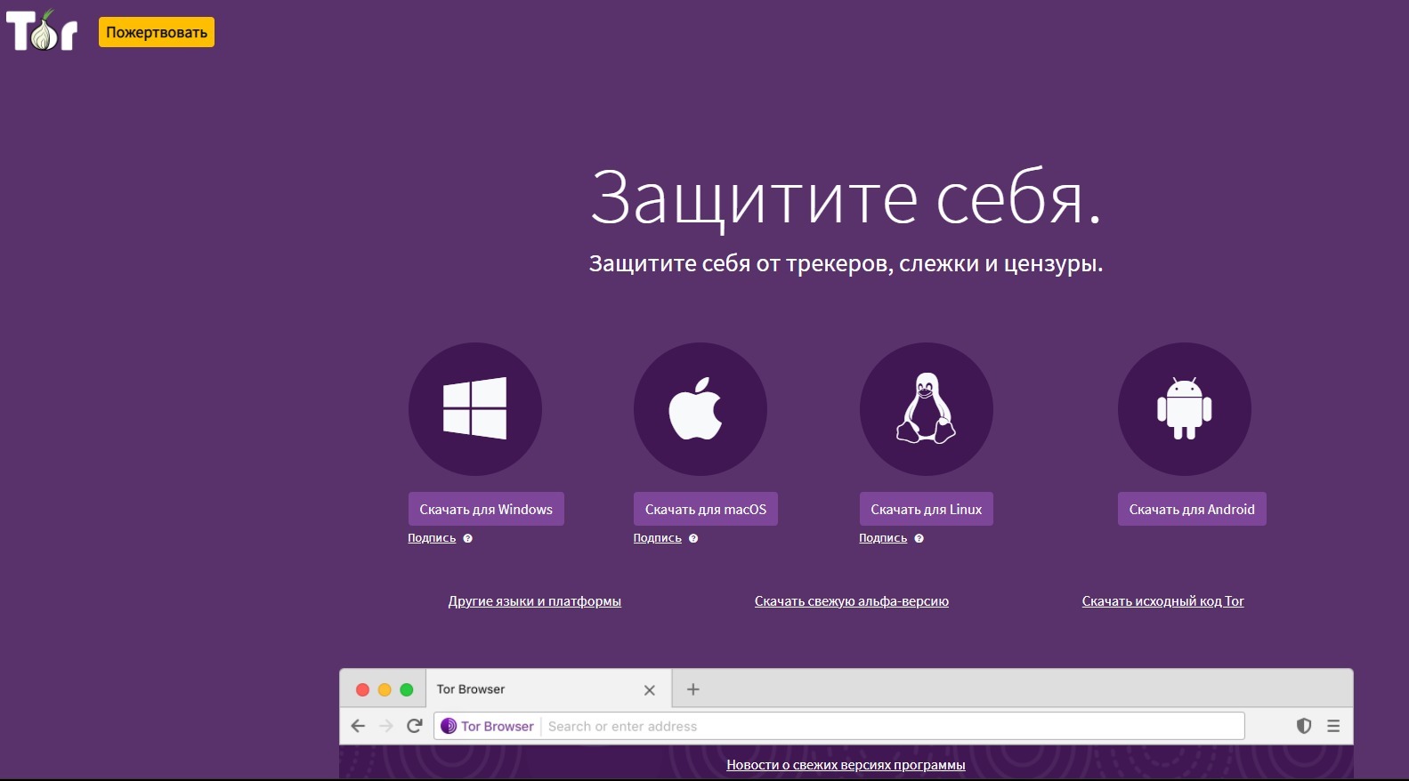 Зеркала сайта кракен tor