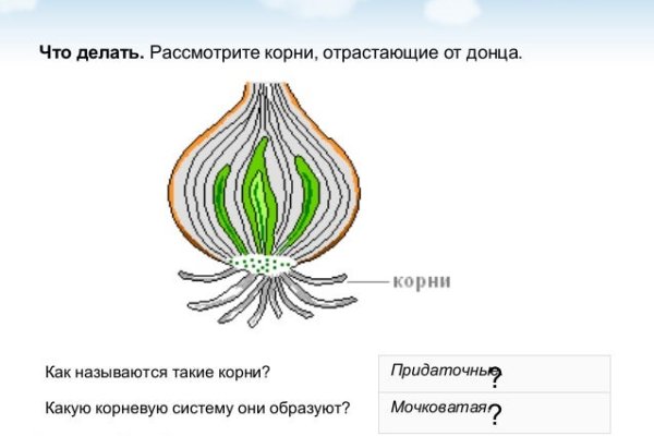 Кракен зеркало сегодня