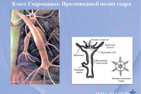 Услуги даркнета