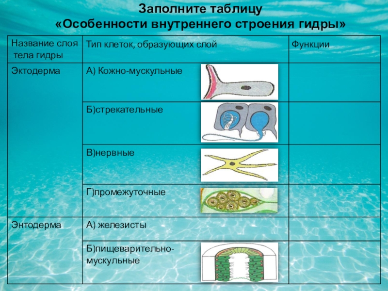Ссылка в магазин на кракен