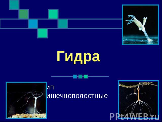 Кракен сайт 1kraken me вход