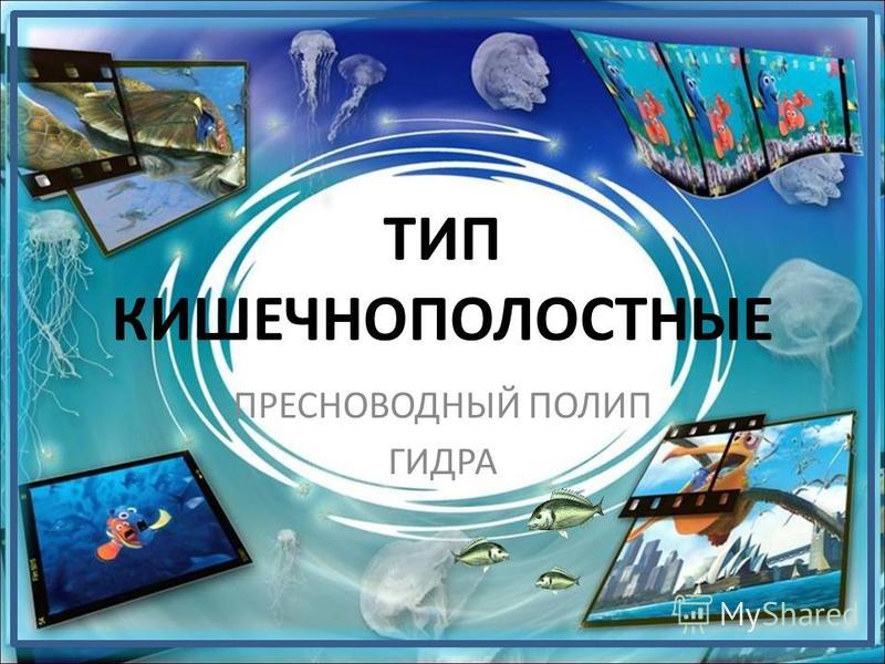 Купить наркотики в москве